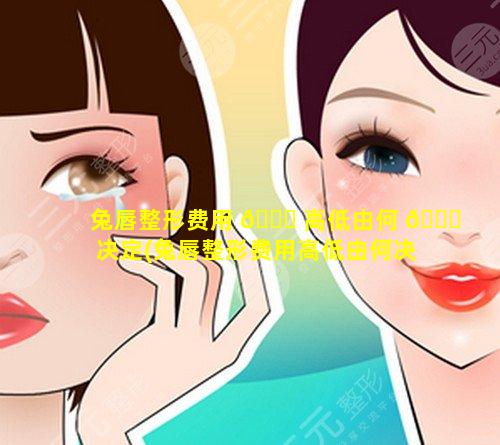 兔唇整形费用 🐛 高低由何 💐 决定(兔唇整形费用高低由何决定呢)